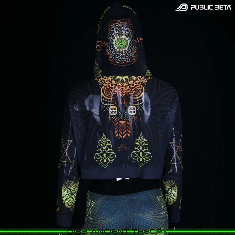 Ancient Theory D183 / Blacklight Active Hooded Mesh Top