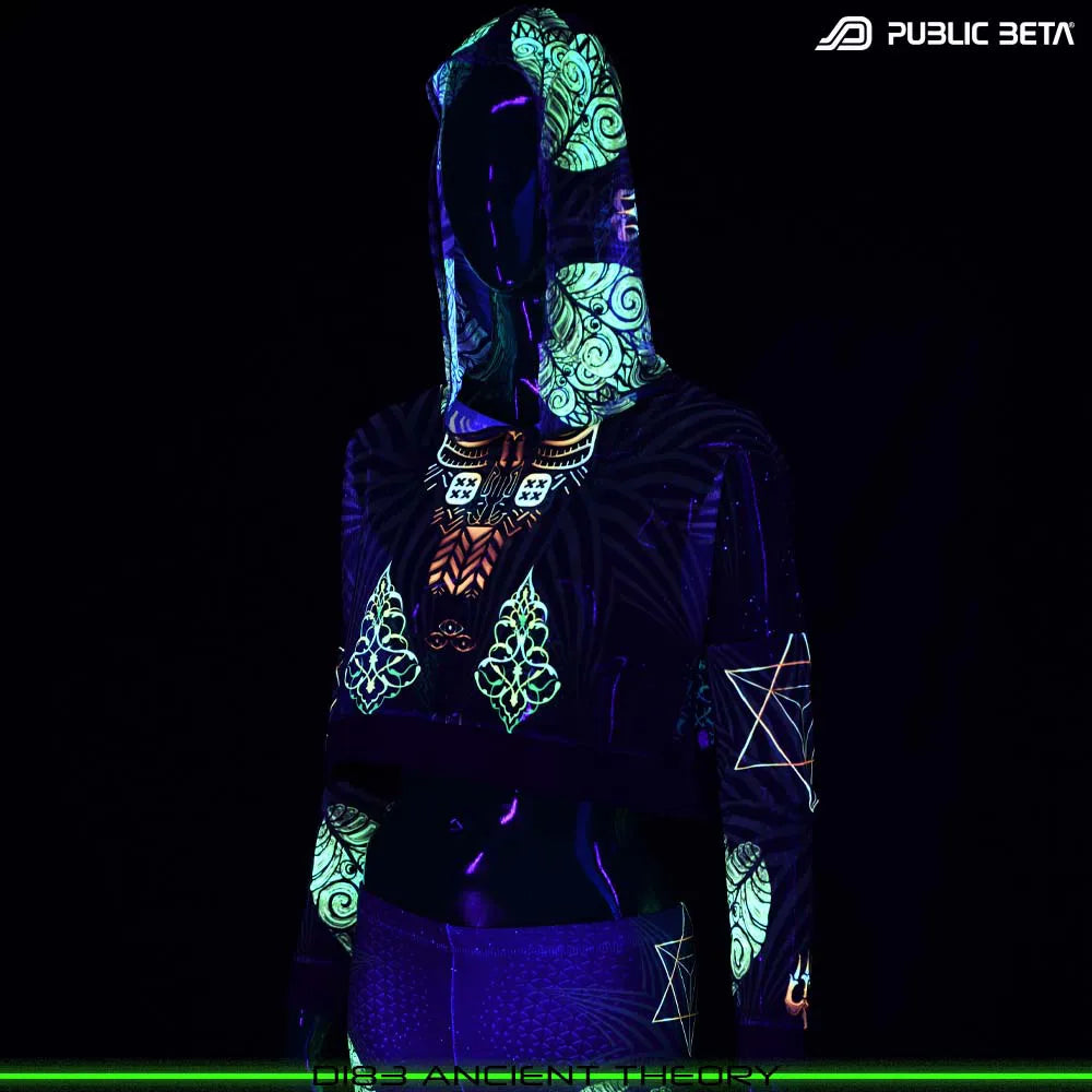 Ancient Theory D183 / Blacklight Active Hooded Mesh Top
